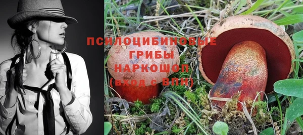 прущие грибы Арсеньев
