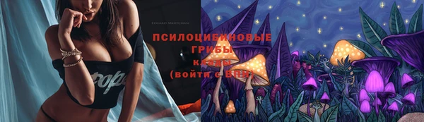 прущие грибы Арсеньев