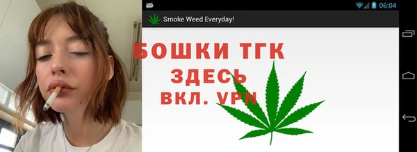 прущие грибы Арсеньев