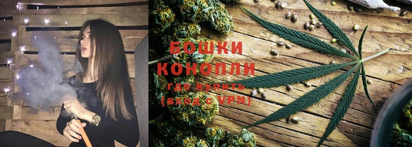 прущие крисы Аркадак