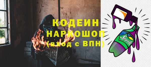 прущие грибы Арсеньев
