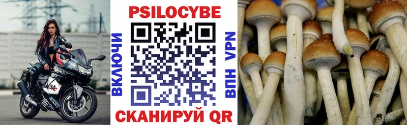продажа наркотиков  Баймак  Псилоцибиновые грибы мухоморы 
